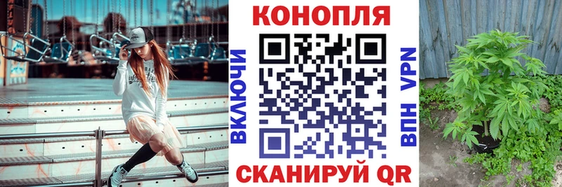 Где можно купить наркотики Кашин АМФ  кракен зеркало  ГАШИШ  Каннабис  МЕТАМФЕТАМИН  СОЛЬ  Меф мяу мяу 