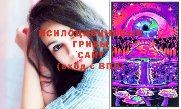 2c-b Арсеньев