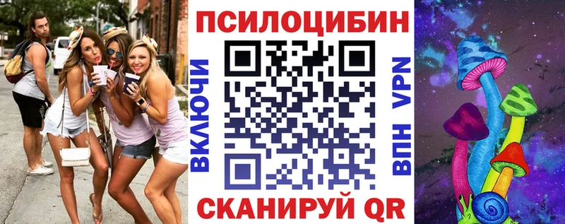 Псилоцибиновые грибы Psilocybine cubensis  Кашин 
