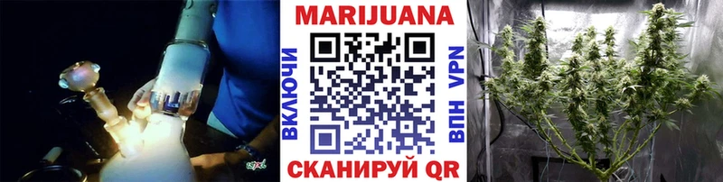 купить закладку  Кашин  Каннабис гибрид 
